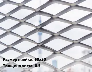 Сетка ЦПВС 60х30 s=0.5